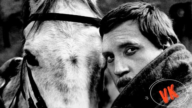 В. Высоцкий Здесь Лапы У Елей Дрожат На Весу