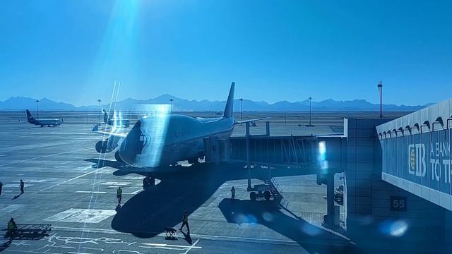 Хургада задержка рейса 2022 смотреть онлайн