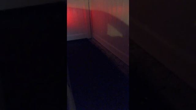 Kia Stinger GT Borla Exhaust Crackles & Pops смотреть онлайн