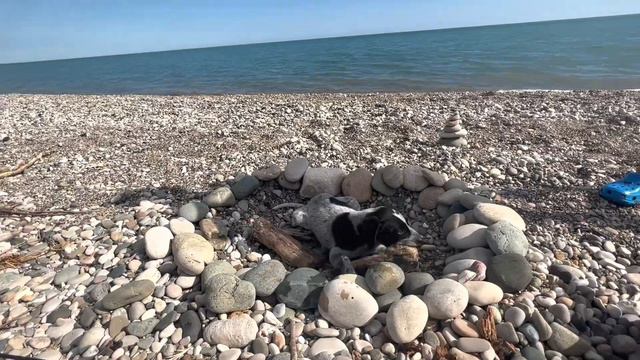 Море, солнце и хорошее настроение 🙂 смотреть онлайн