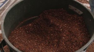 КАКУЮ ПОЧВУ ЛЮБЯТ ОГУРЦЫ И ПРИ КАКОЙ ТЕМПЕРАТУРЕ РАСТУТ