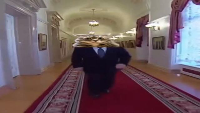 Wide Kotya walking-Широкий Котя идёт [1 hour] смотреть онлайн