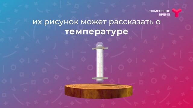 Вечерний хэштег: QR-коды, онлайн-магазины, ограничения смотреть онлайн