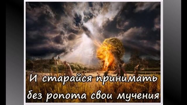 ОМАР ХАЙЯМ КНИГА ЖИЗНИ ПЕСНЯ смотреть онлайн