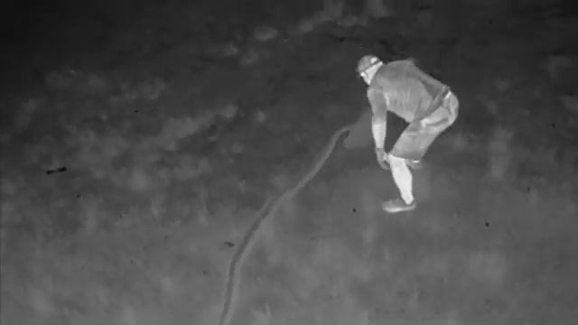 Python Capture With Thermal Drone Camera смотреть онлайн