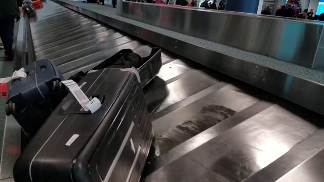 Newark Airport EWR baggage carousel - World travels смотреть онлайн