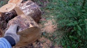 Заготовка дров для бани.