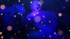 Самое Мощное Исцеление во Сне ☀️ Матрица Гаряева для Регенерации и Исцеления Всего Тела во Время Сн