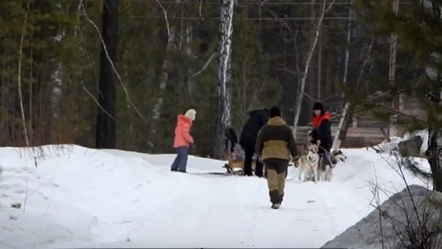В гости к Хаски смотреть онлайн