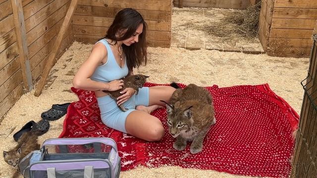 НЕВЕРОЯТНАЯ ЛЮБОВЬ РЫСИ И ЧЕЛОВЕКА смотреть онлайн
