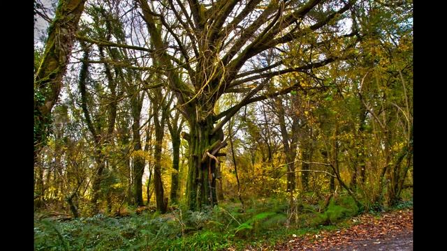 My photography by Nikon D40 смотреть онлайн