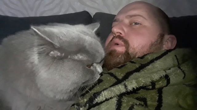 Кот любит своего хозяина смотреть онлайн