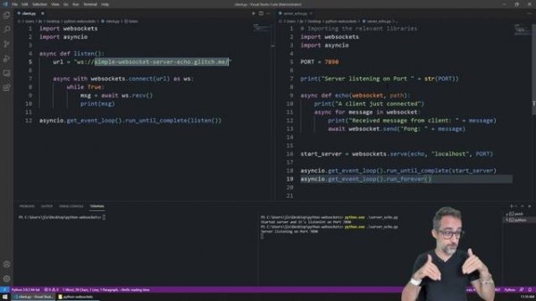 8.2 How to Create a WebSocket Server in Python - Fun with WebSockets