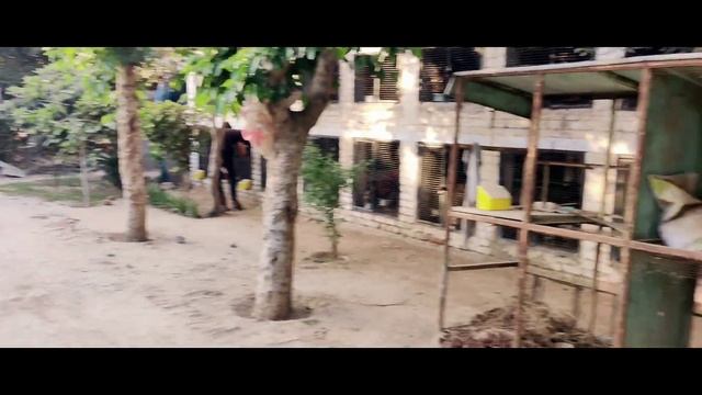 Mary Dost Ka Farm House Ka Doura |A Visit To My Friend Farm House | Atif Jrw Vlog смотреть онлайн