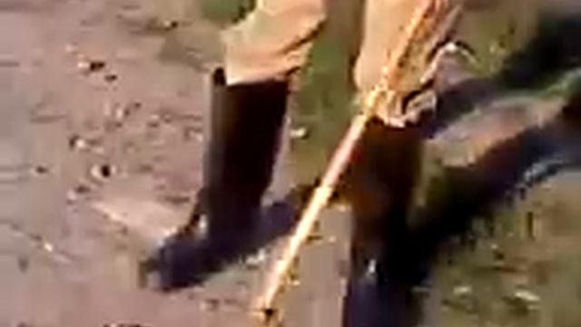 тотоша выбил глаз смотреть онлайн