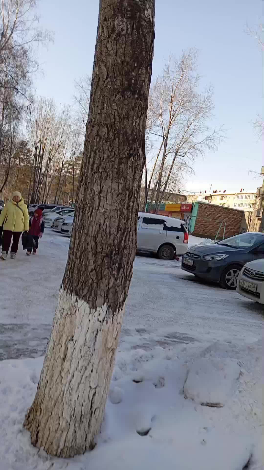 поддержите подпиской смотреть онлайн