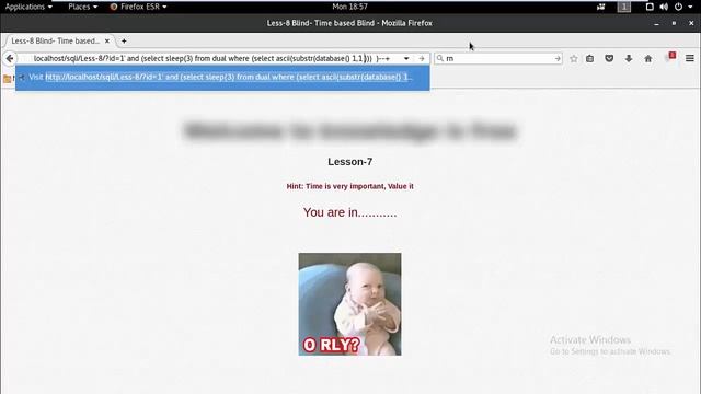 SQL injection video course | Time Based Blind SQL Injection | 2017 смотреть онлайн