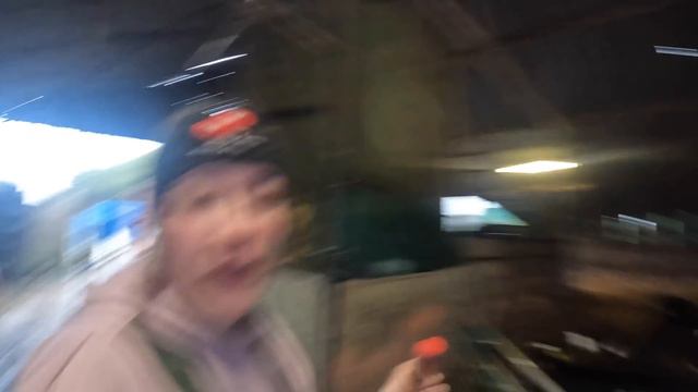 HOW DO WE REAR CALVES ?! | 2024'S NEW ARRIVALS смотреть онлайн