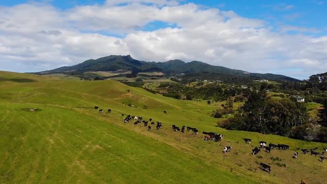 New Zealand English vs Australian English - What is NZ English? смотреть онлайн