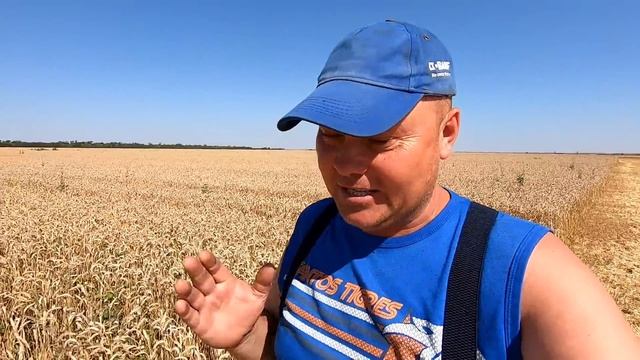Уборка урожая 2023. Ремонт комбайнов на лету. Зашли на горох! смотреть онлайн