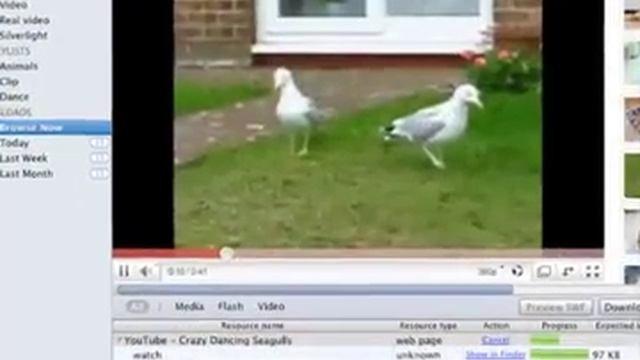 Updated Elmedia Player Provides More Online Downloading Poss смотреть онлайн