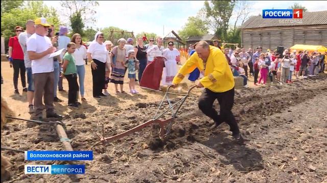В Волоконовском районе прошел межрегиональный фестиваль «Я – русский крестьянин» смотреть онлайн