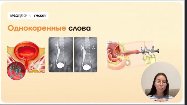 НЕмертвый латинский | Медвуза | Латинский язык смотреть онлайн