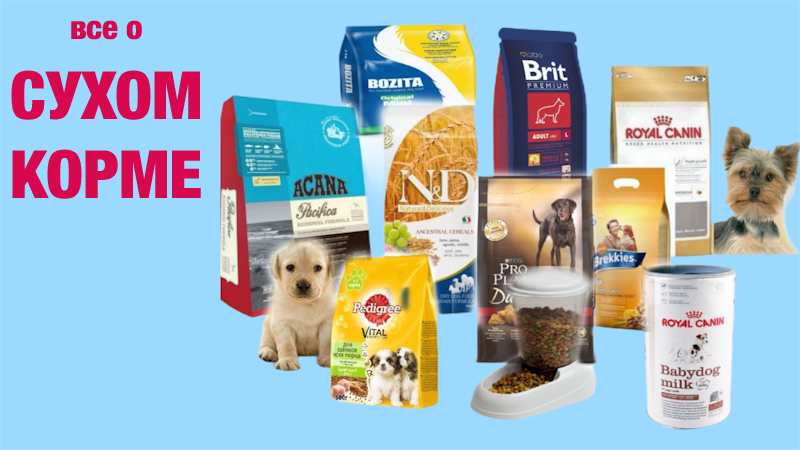 Кормление собаки сухим кормом. Что нужно знать выбирая корм. смотреть онлайн