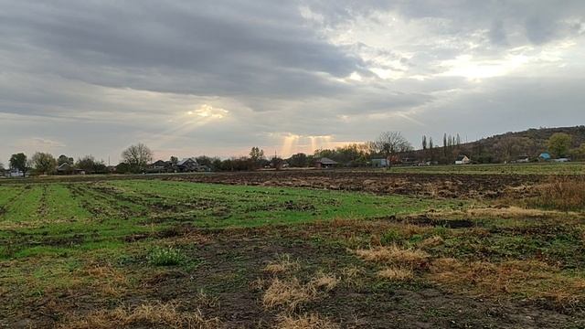 Осень смотреть онлайн