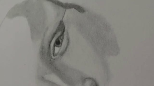 draw Mona Lisa Eyes and Nose смотреть онлайн