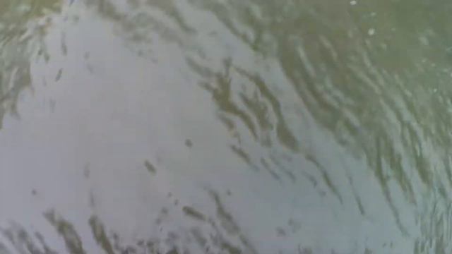 11 сентября (рыбачим дальше !хариус) смотреть онлайн