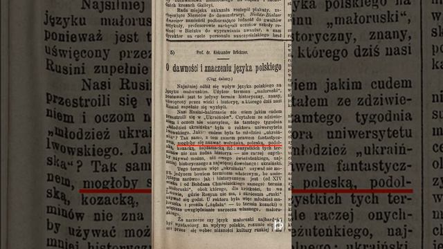 ПОЛЯКИ НЕ ЗНАЛИ ТАКОЙ НАЦИИ УКРАИНЕЦ смотреть онлайн
