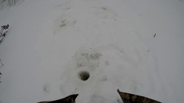 Щука не давала скучать! Размочился щукой на Балансир! Жерлицы.Рыбалка 2019. смотреть онлайн