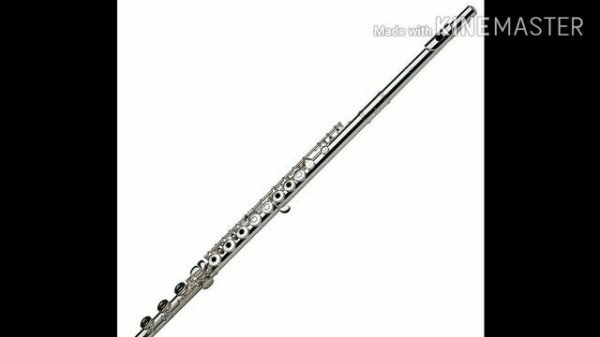 #music_Samiev_muzic     Навои найи Бахори