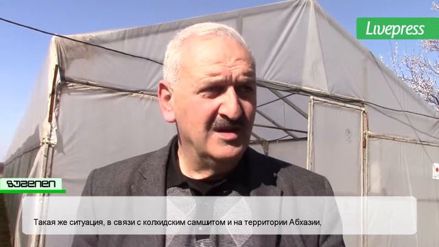 Для спасения самшита колхидскогов Рухи эксперты будуть изучать методологию черенкования смотреть онлайн