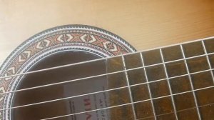 Горел пылающий камин  Виктор Петлюра