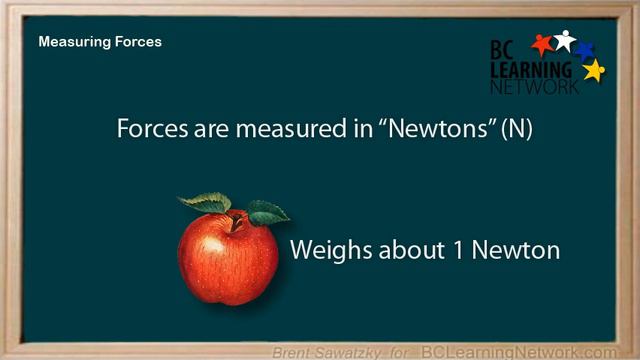 _WCLN - Physics - Forces 3 - Measurement смотреть онлайн