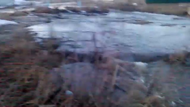 Разлив в Пестриково смотреть онлайн