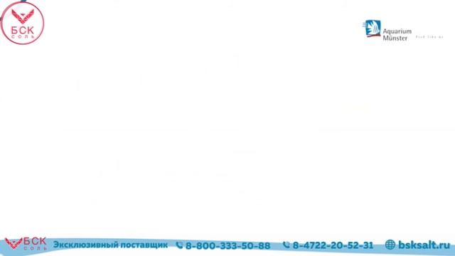 AQUAVITAL MARINE TEST 5in1 - экспресс-тест качества воды в морском аквариуме смотреть онлайн