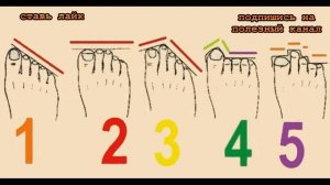 ★Как по форме пальцев на ноге определить характер человека. Педомантия — гадание по форме пальцев