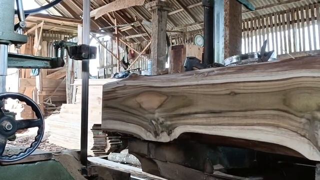 How to saw branched teak wood at a sawmill смотреть онлайн