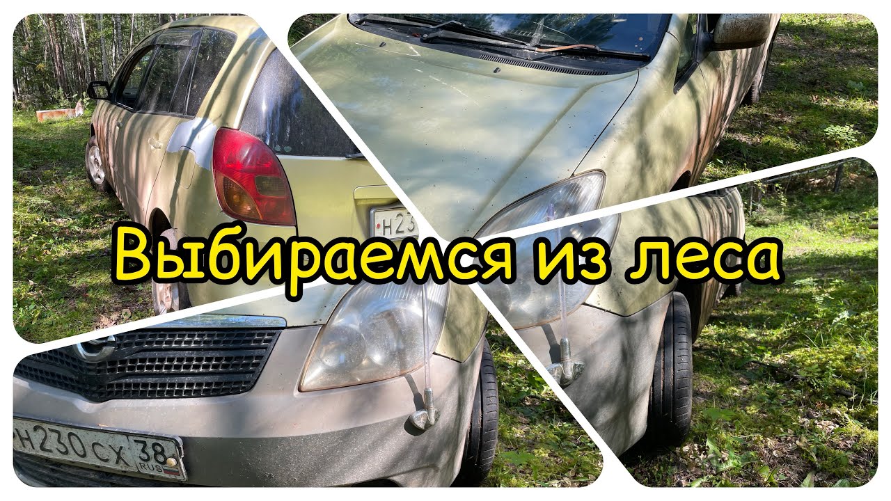 Выбираемся из леса ? #car #offroad #toyota