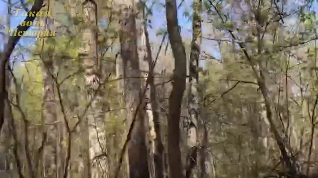 Придя домой ,она услышала странные звуки и когда поняла.....История из жизни смотреть онлайн