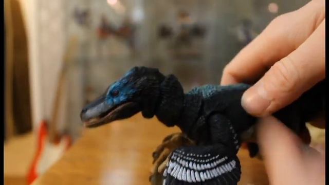 [Beasts Of The Mesozoic - Raptor Series] Balaur Bondoc Review смотреть онлайн