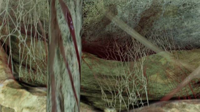 О ЧЕМ DLC К ELDEN RING - SHADOW OF THE ERD TREE | ПЯТЬ ПРИЧИН ВРЕЗАТЬ ВЫРЕЗАННЫЙ КОНТЕНТ (TEASER) смотреть онлайн
