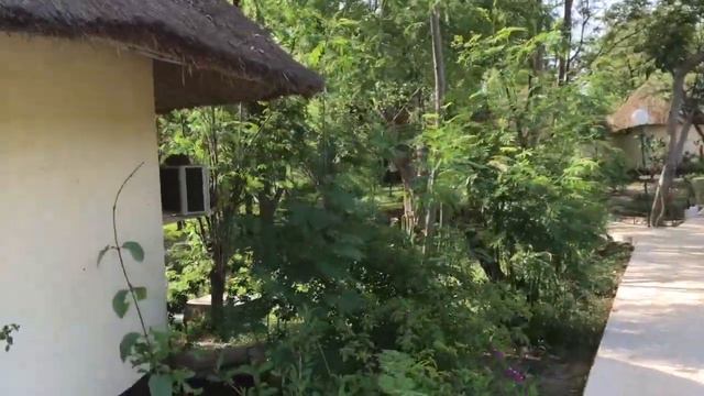 Exploring Senegal смотреть онлайн