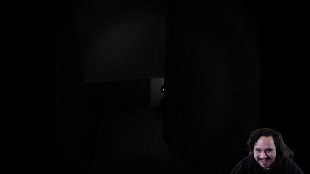 THIS IS NOT A REAL VIDEO | There Is Nothing Here (Indie Horror Game) смотреть онлайн