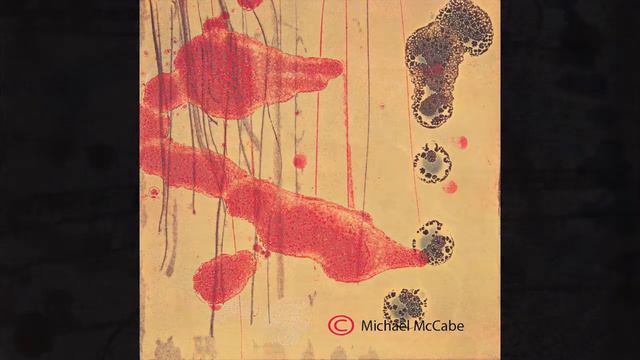 Michael McCabe, Monotype Prints смотреть онлайн