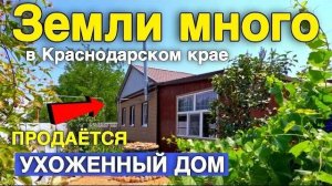 Продается ухоженный дом, большой участок, а самое главное рядом есть ЛЕС