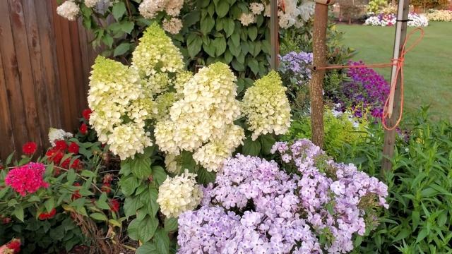 Как наши клумбы выглядят зимой смотреть онлайн